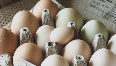 Tiny Eggs: The Beginning or the End?