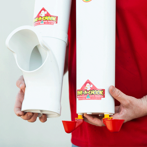 Dine a Chook Large Chicken Feeder and Twin Lubing Cup Drinker.