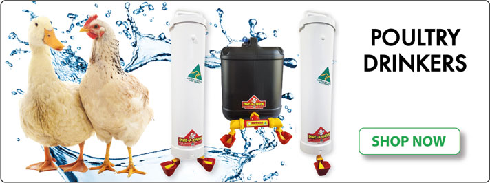 Poultry Drinkers | Automatic drinkers for chickens, ducks and geese. Provides fresh, clean water to your poultry, Australian made | Dine A Chook