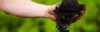 PALLET DEAL: Compostable 33" x 40" LARGE Can Liner -80 Cases = 8,000 Bags