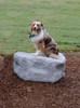 NatureDog™ Small Boulder