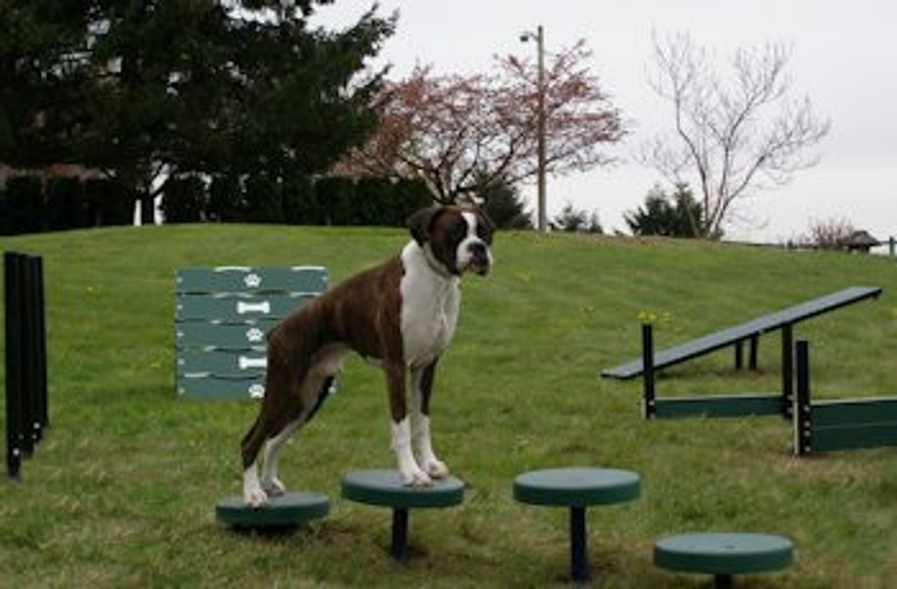 Canine Courtyard Deluxe System