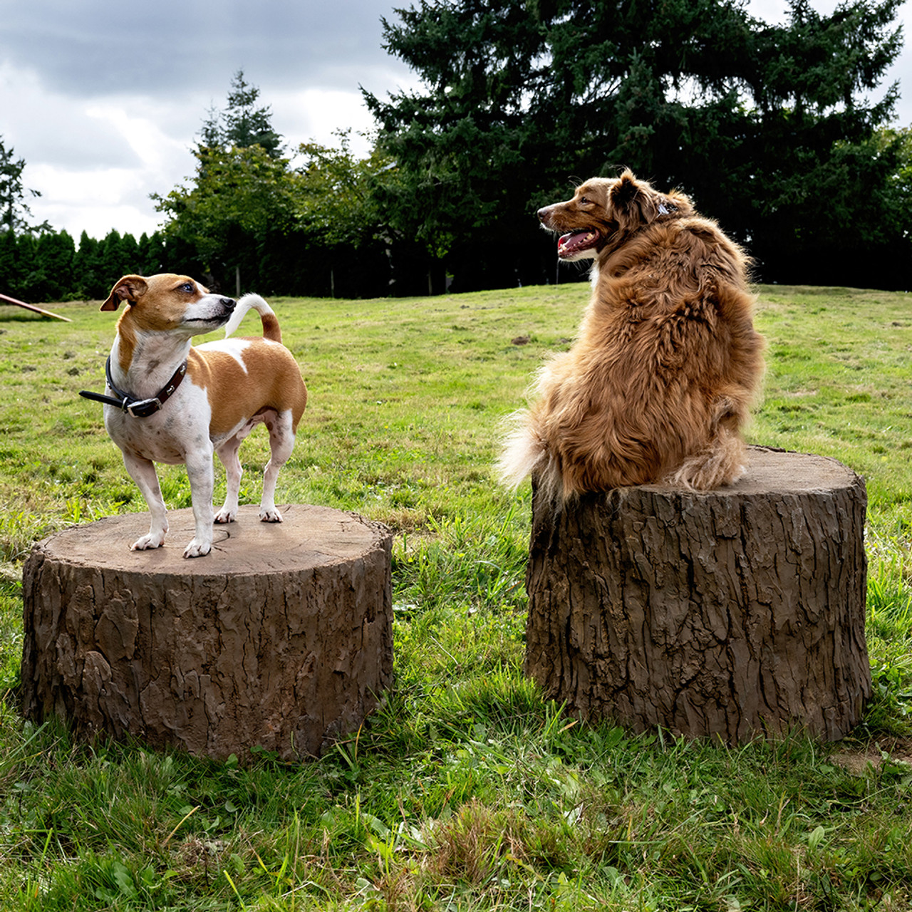 NatureDog™ Little Stump Jump