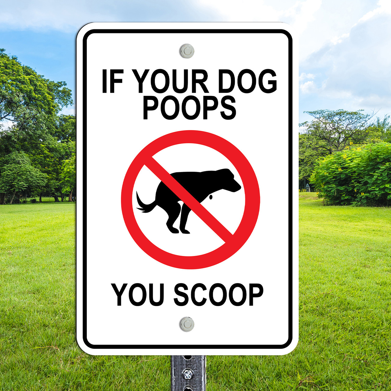 Dog Poops You Scoop 12
