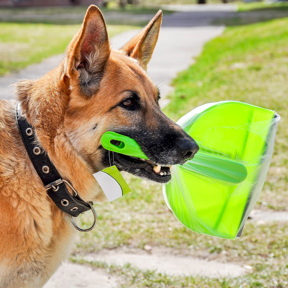 An Effective Dog Waste Management Program