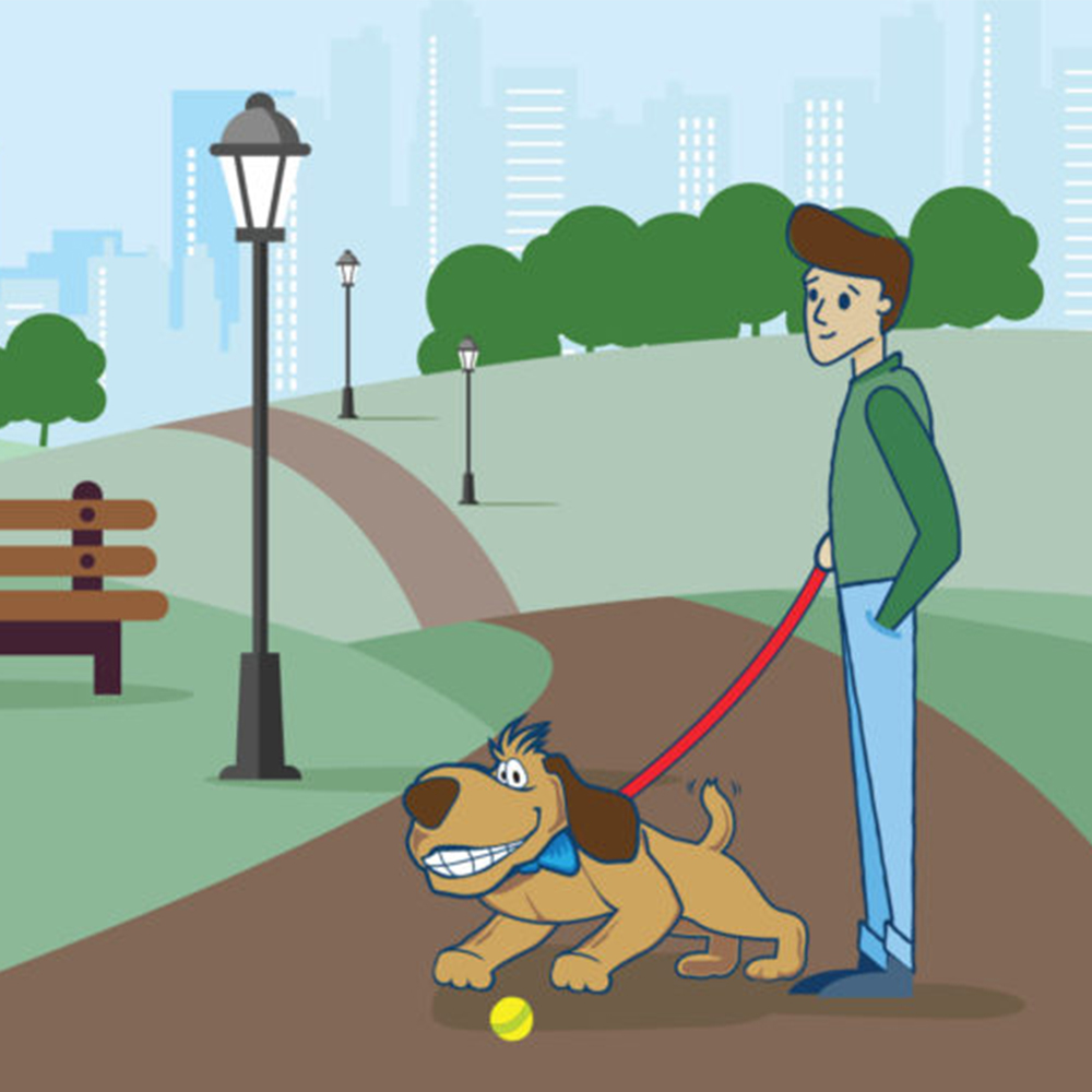 Choose The Right Dog Waste Product