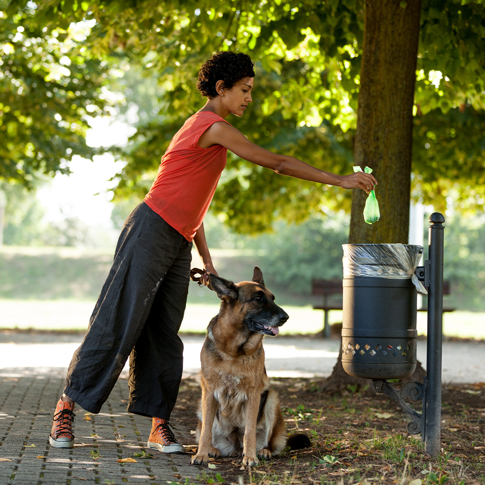 ​ Dog Waste Dangers