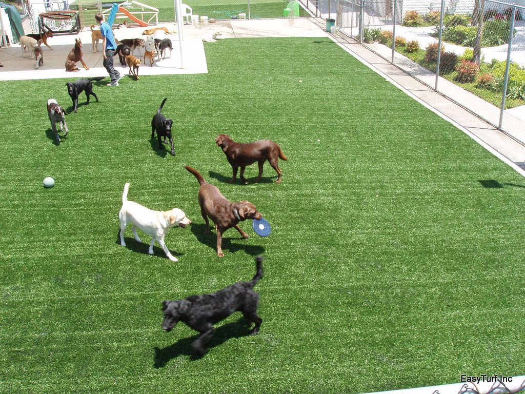 How to expertly clean artificial turf  How to expertly clean artificial turf