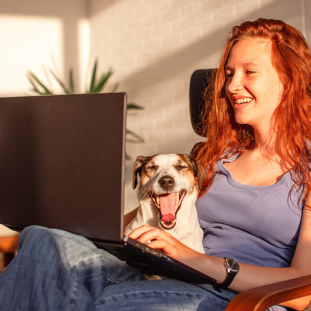 TIPS for DOGS in COLLEGE DORM ROOM Dog Waste Depot