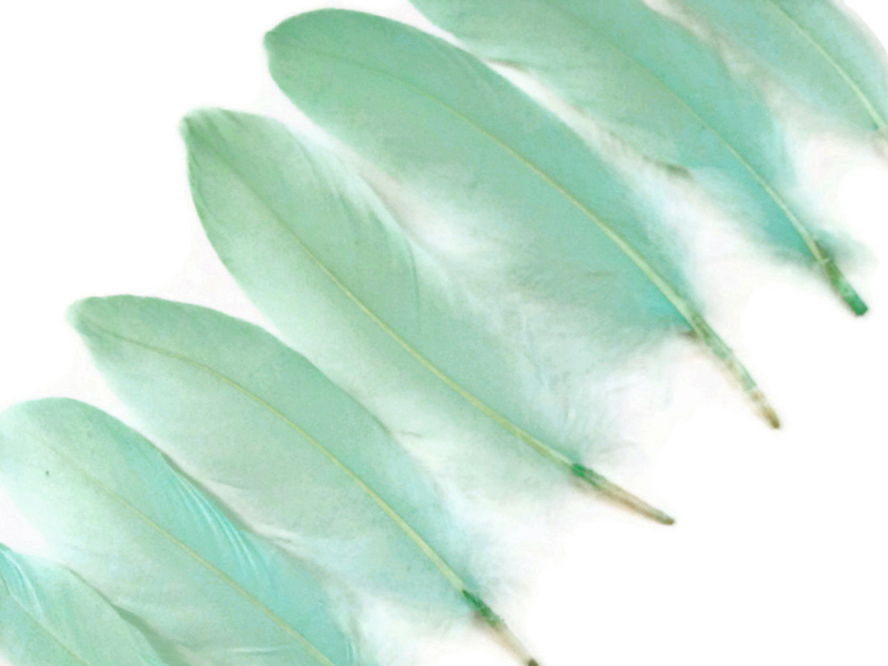 5-7 Aqua Green Goose Satinette Feathers - 1 Pack