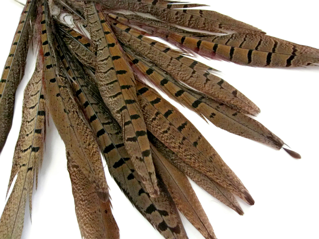  AWAYTR 20pcs Natural Pheasant Feathers - Pheasant Tail