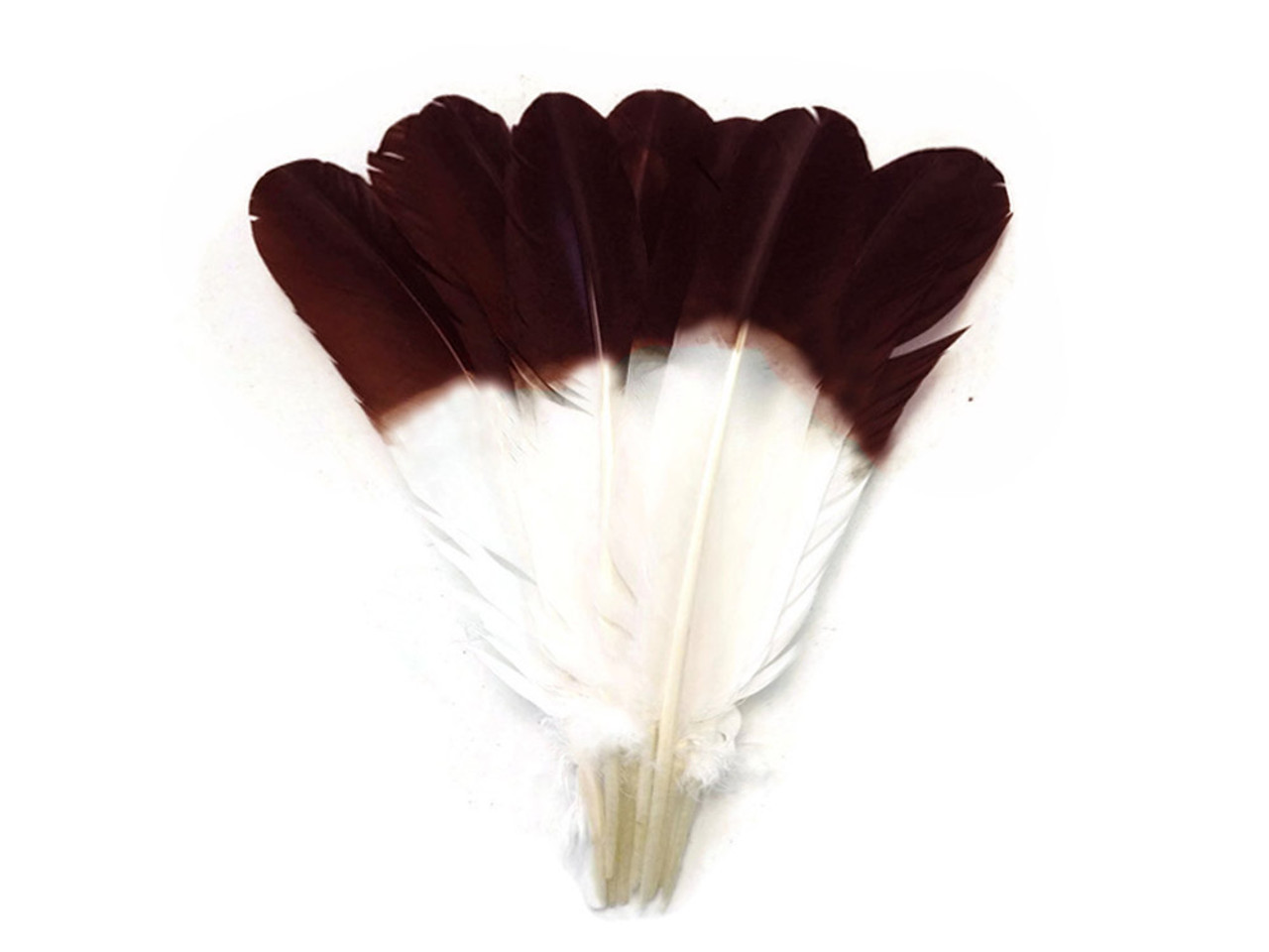 Touch of Nature Turkey Feathers Fluffy 7GM White 1pkg
