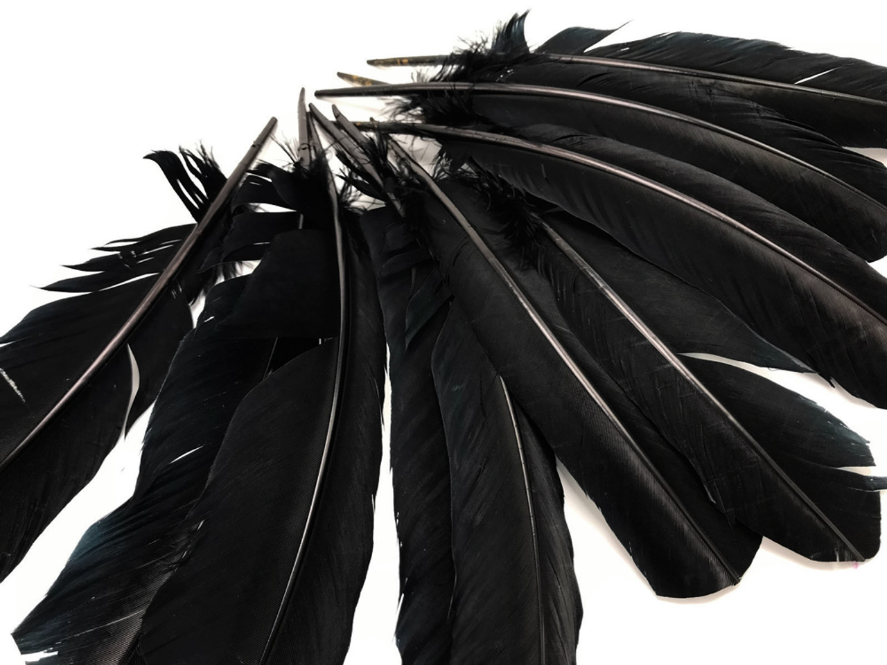 Wing Feathers, 1/4 Lb Black Turkey Rounds Secondary Wing Quill Wholesale  Feathers bulk Craft Supply : 2151 
