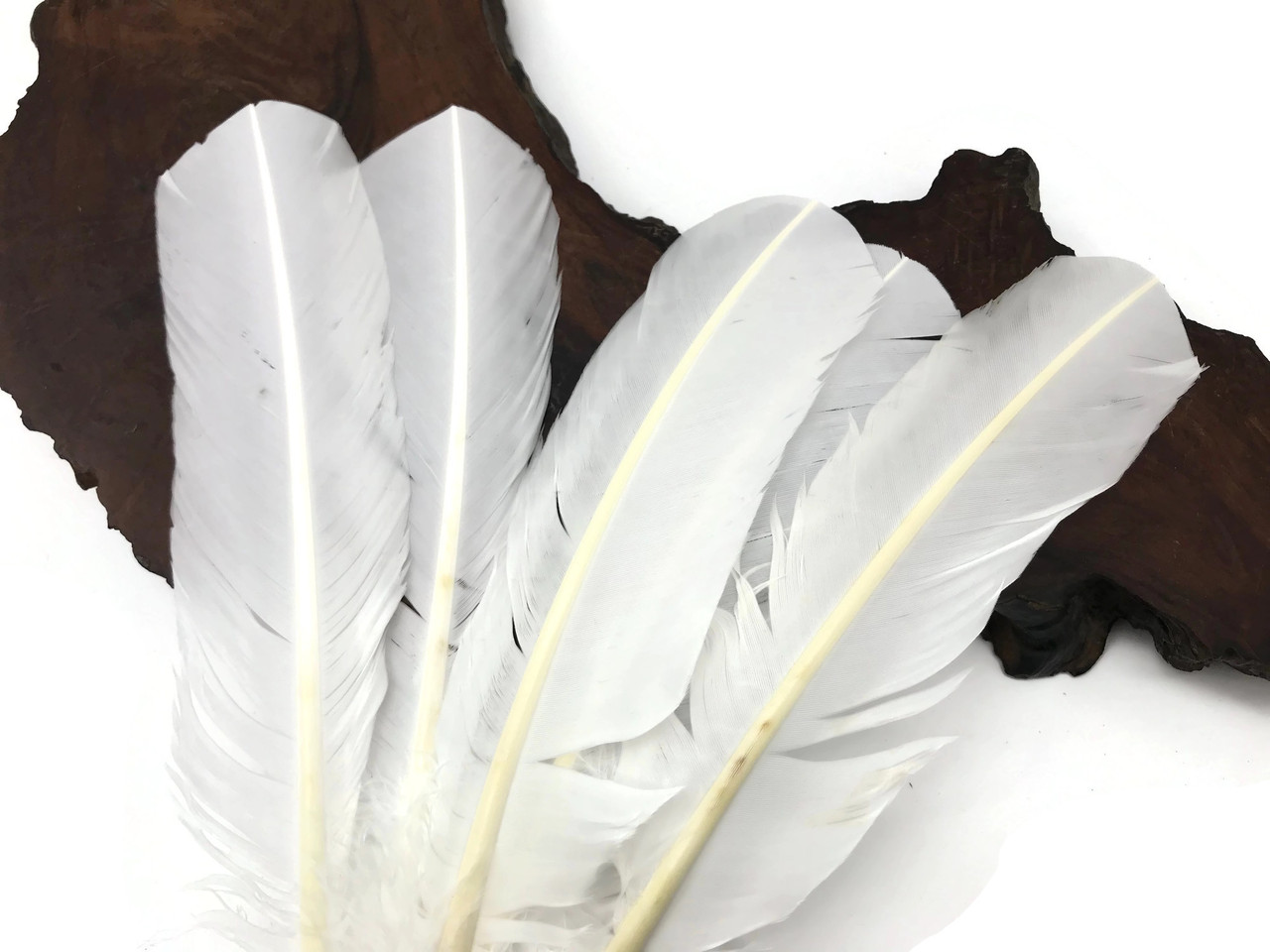 Wholesale Turkey Feathers, 1/4 Lbs Bright Mix Turkey T-base Body