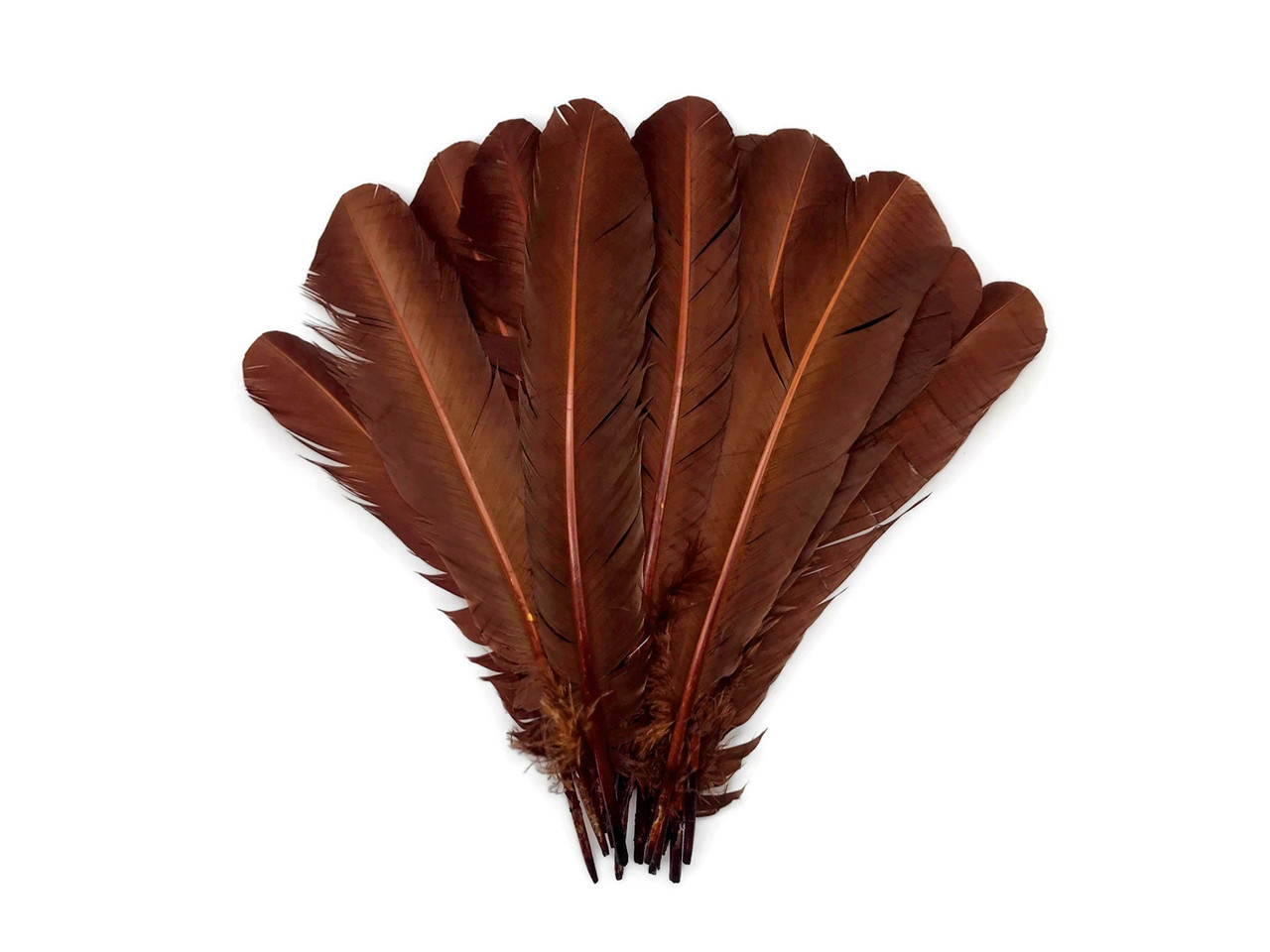 1/4 Lb - Brown Turkey Tom Rounds Secondary Wing Quill Wholesale Feathers  (Bulk)