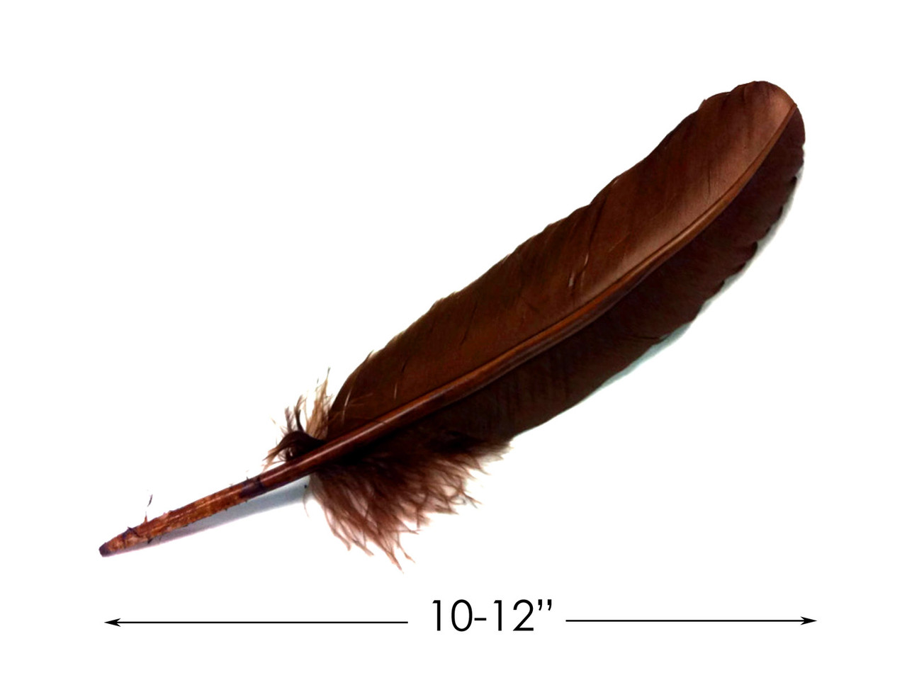 Raven Wing Feathers, 1/4 Lb Brown Turkey Pointers Quill Wing Wholesale  Feathers bulk Halloween Costume Fletching : 3628 