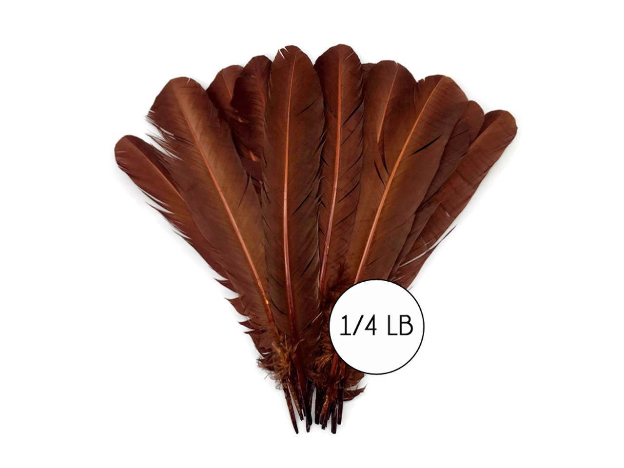 1/4 Lb - Brown Turkey Tom Rounds Secondary Wing Quill Wholesale Feathers  (Bulk)