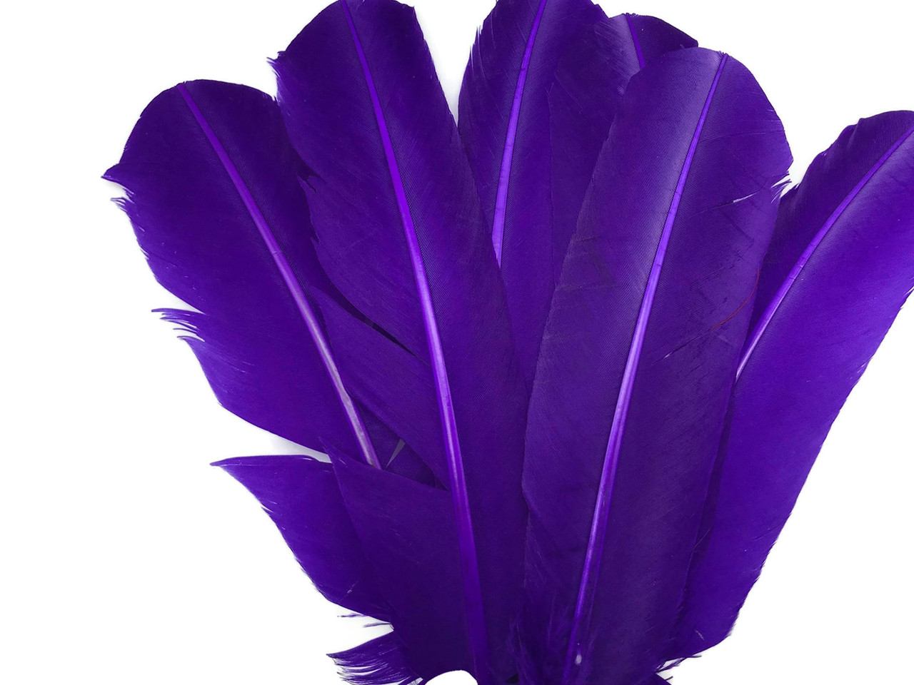 1/4 lb Purple Turkey T-base Plumage