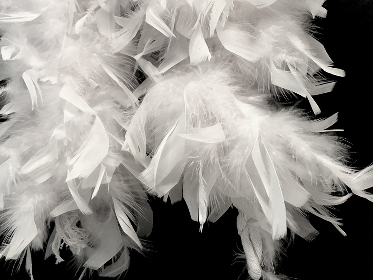 White Feather Boa by 100Candles