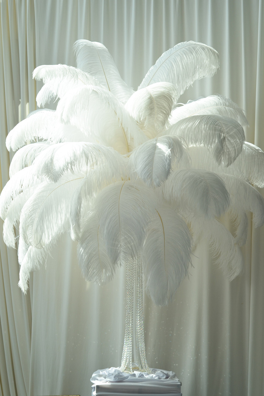 125 Pieces - White Ostrich Tail Bulk Wholesale Feathers Wedding Centerpiece  Bulk