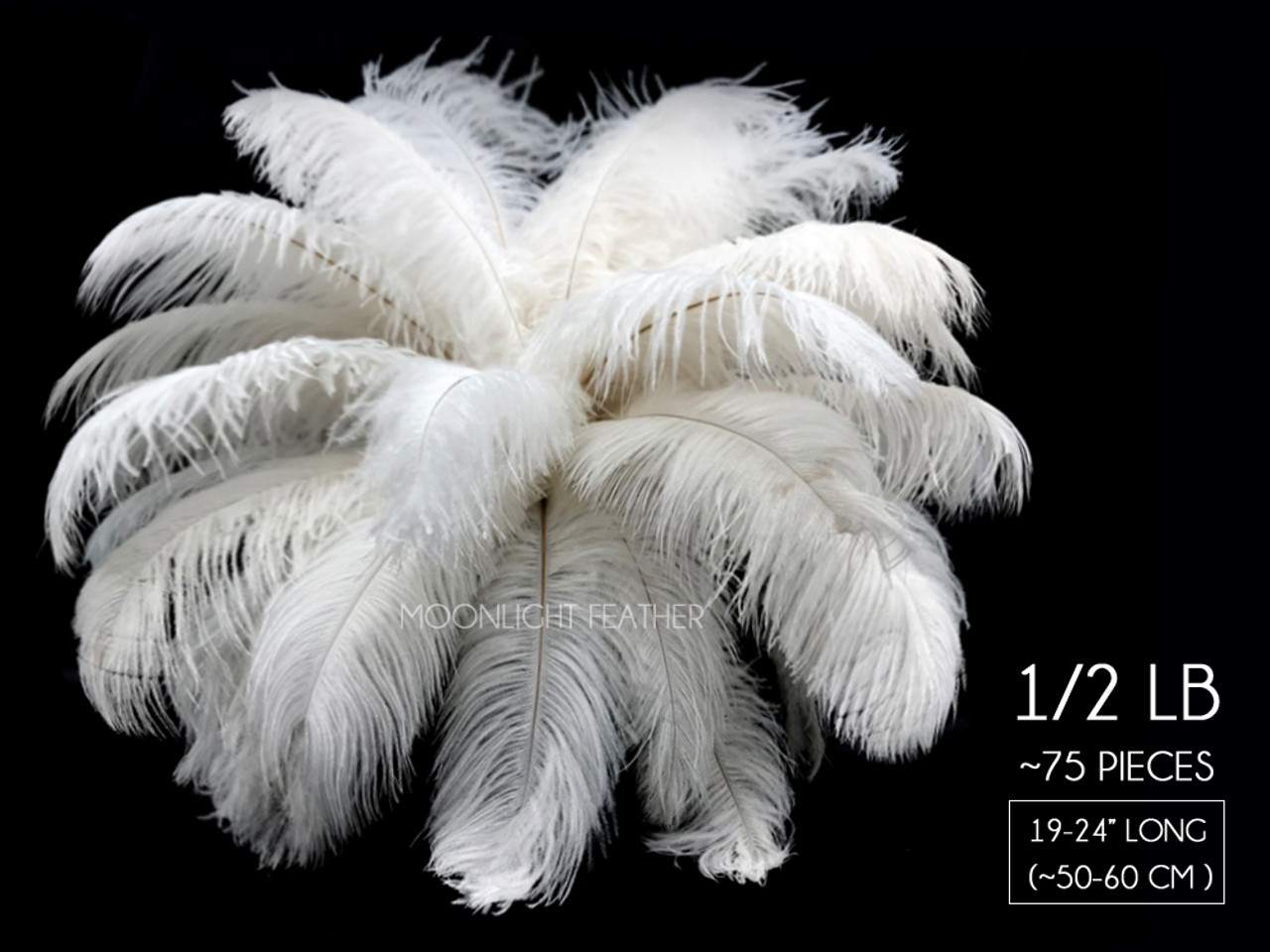 Ostrich Drab Feathers (Long)