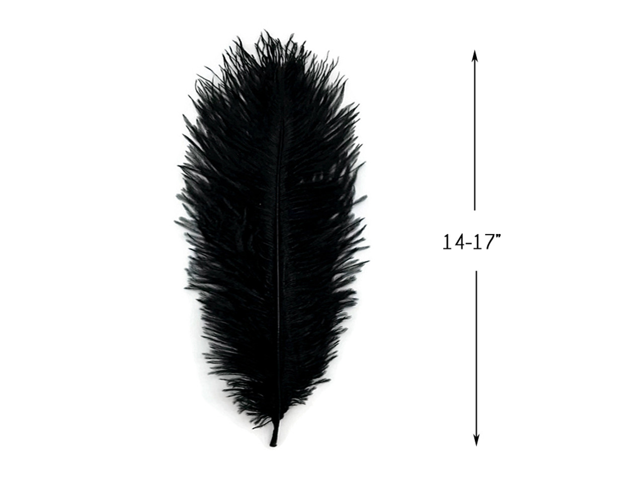 1/2 lb - 14-17 inch Off White Ostrich Large Drab Wholesale Feathers (Bulk)