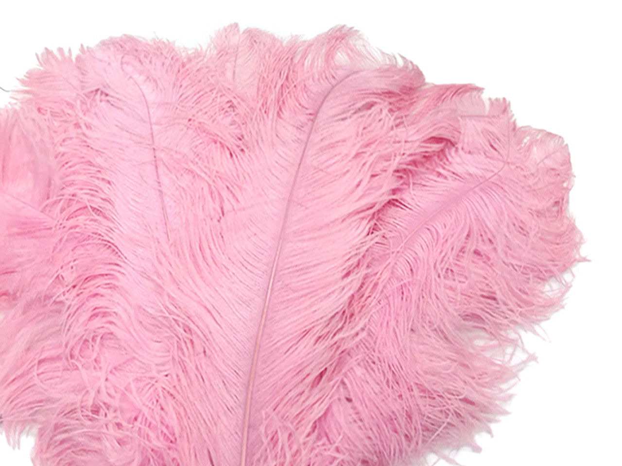 1/2 lb. - 18-24 Baby Pink Large Ostrich Wing Plume Wholesale Feathers (Bulk)
