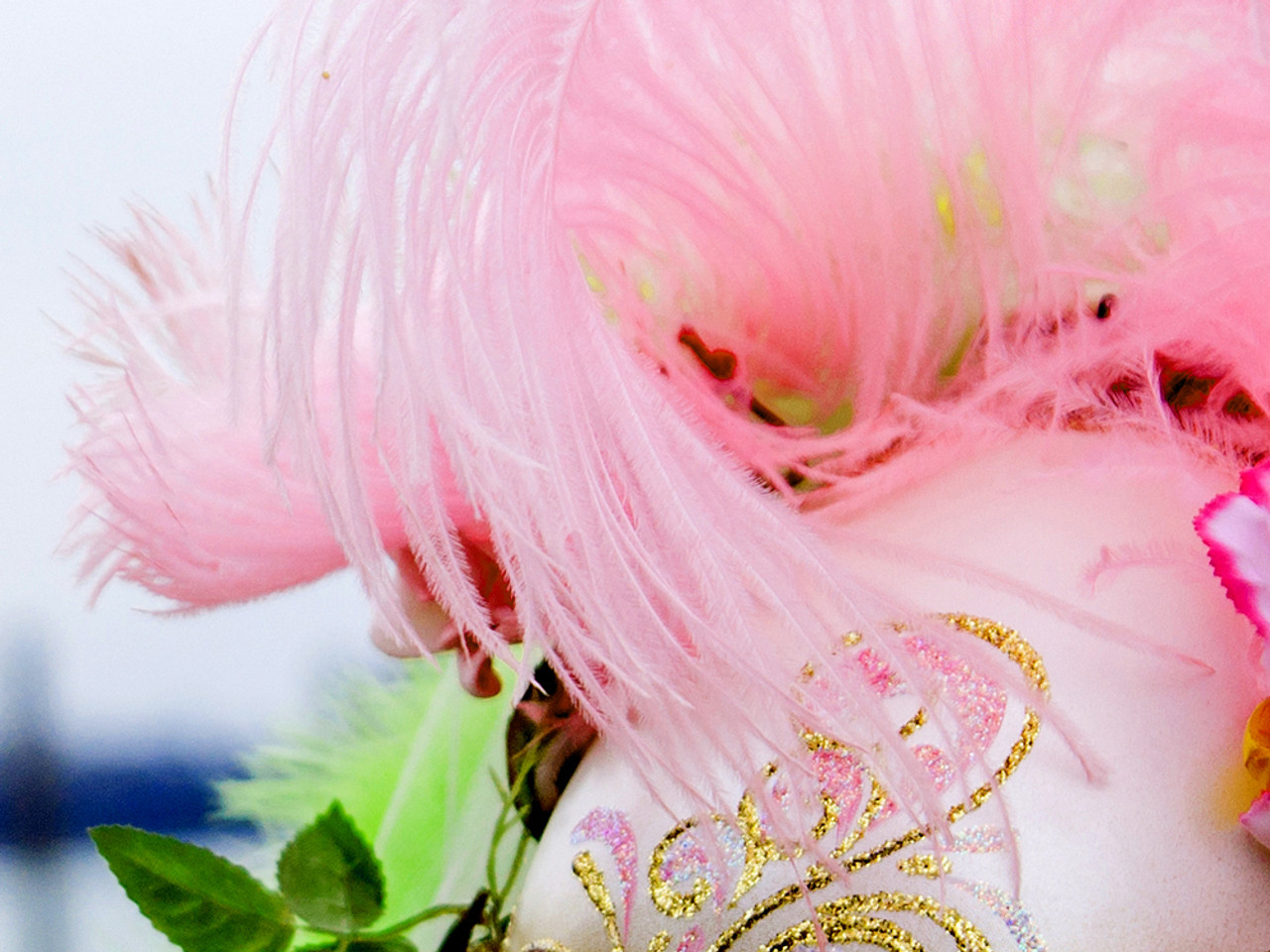Baby Pink Ostrich Feathers/plumes/wings Wholesale Bulk Dozen Cheap Discount  22-24 inch 5 Pieces Wedding Centerpieces and Crafts inidan feathers larger  feathers