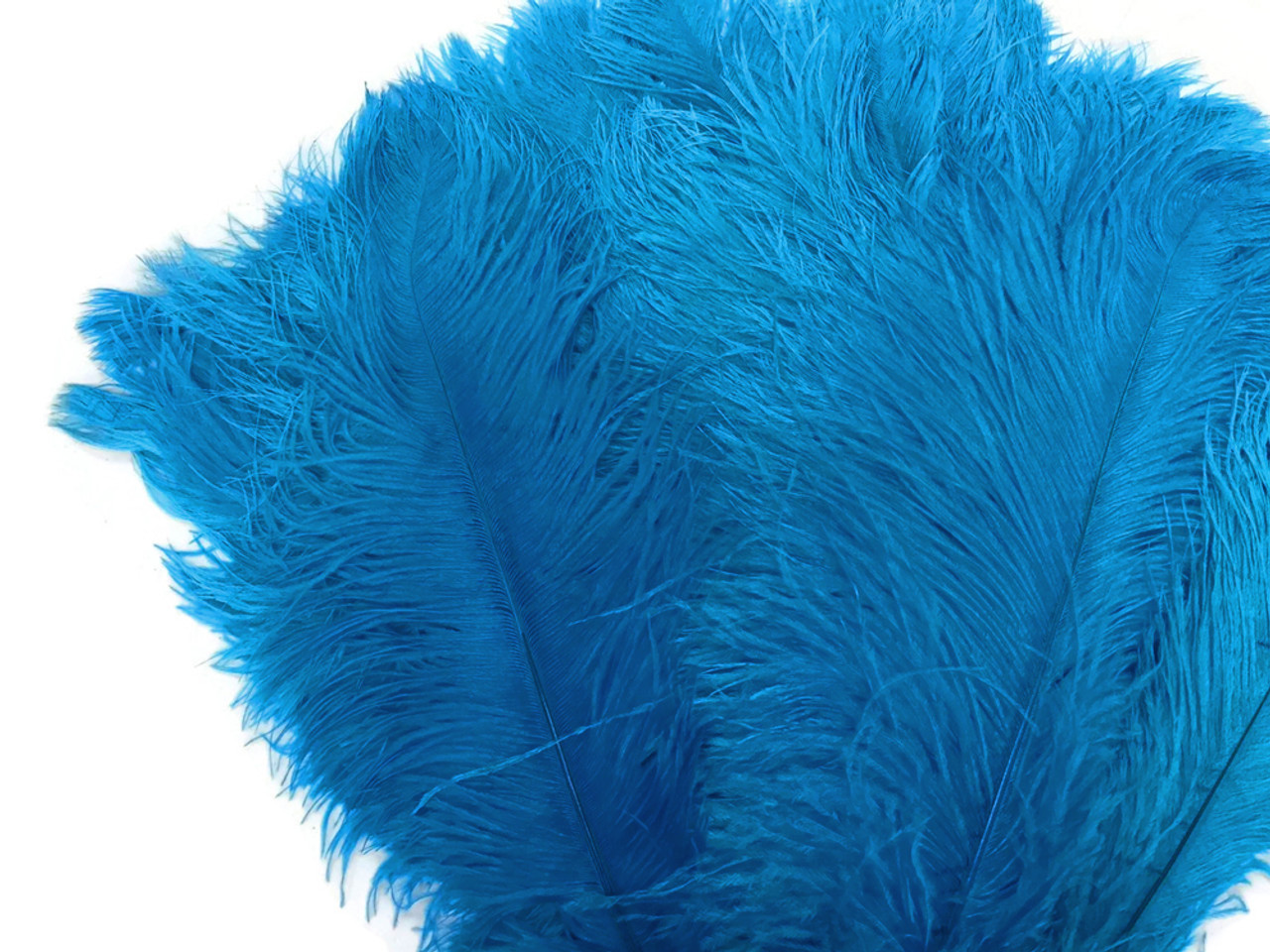 1/2 Lb. - 19-24 Off White Ostrich Extra Long Drab Wholesale Feathers (Bulk)