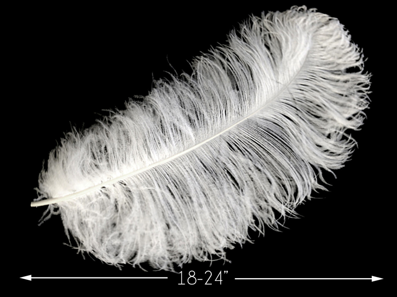 White Ostrich Feathers