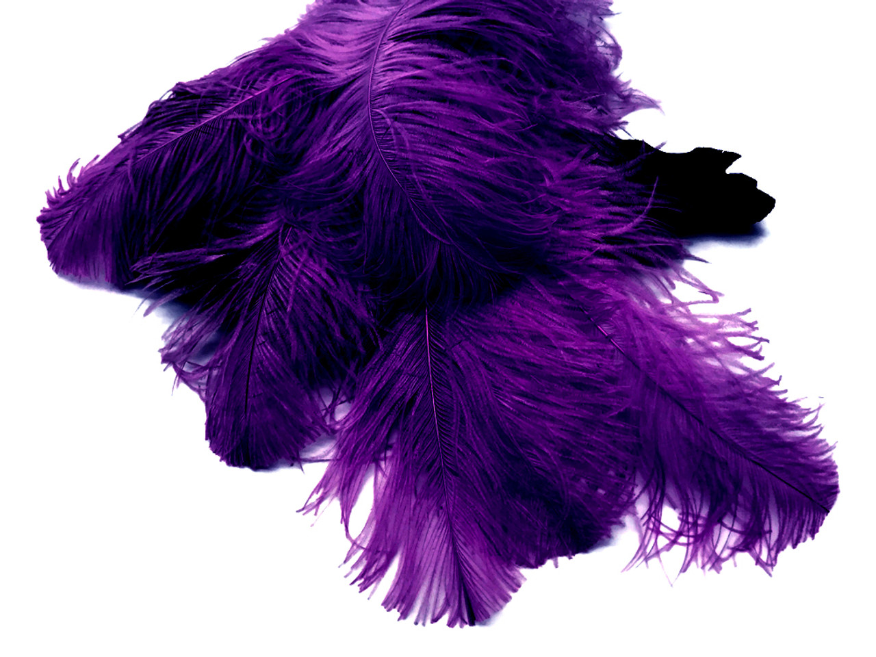 Purple Ostrich Plumes/ Feathers