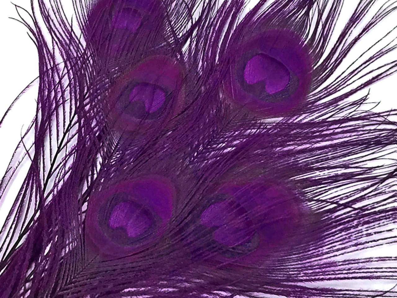 100 Pieces 30-35 Purple Bleached Peacock Tail Feathers