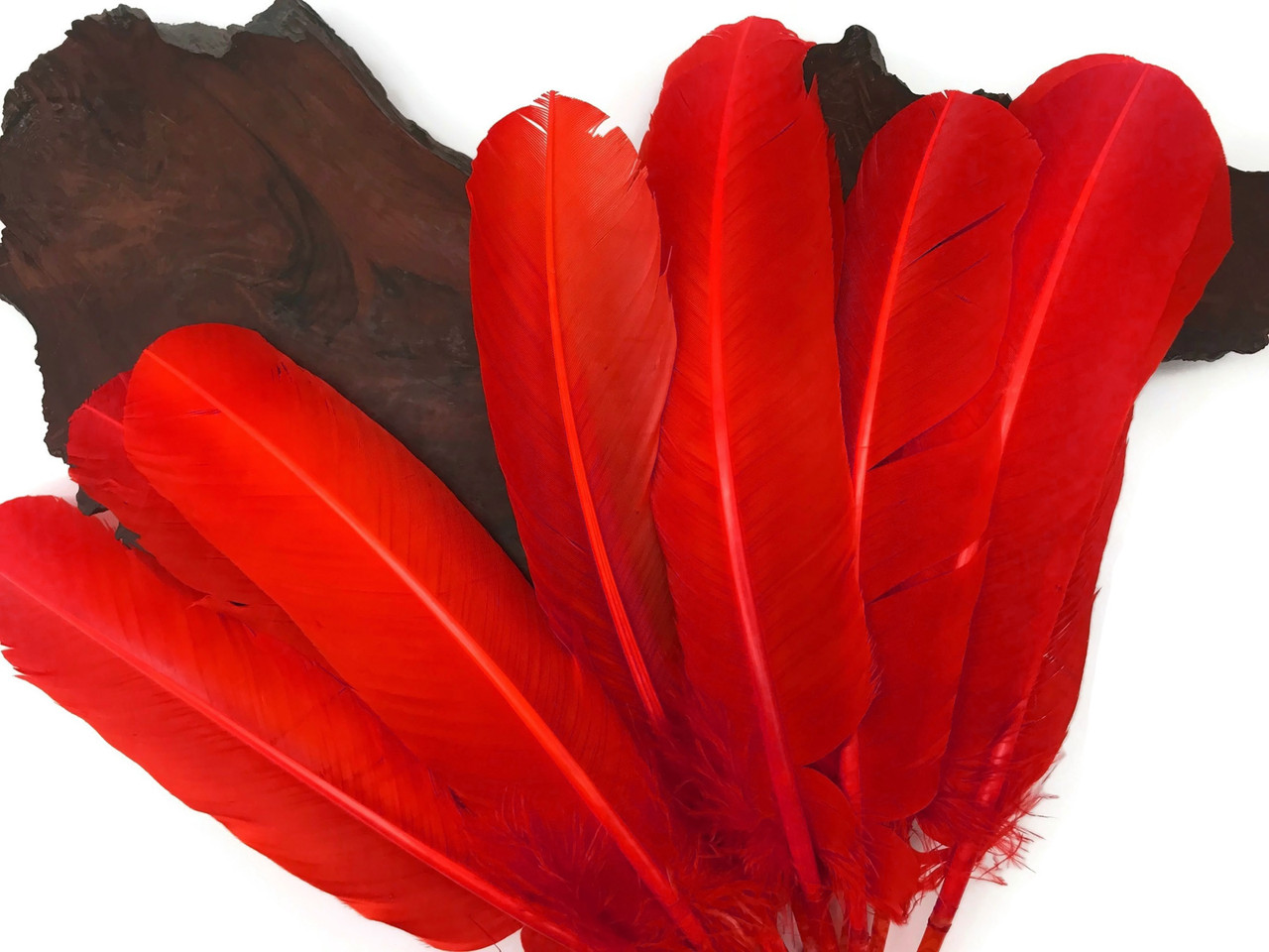 6 Pieces Red Turkey Round Wing Quill