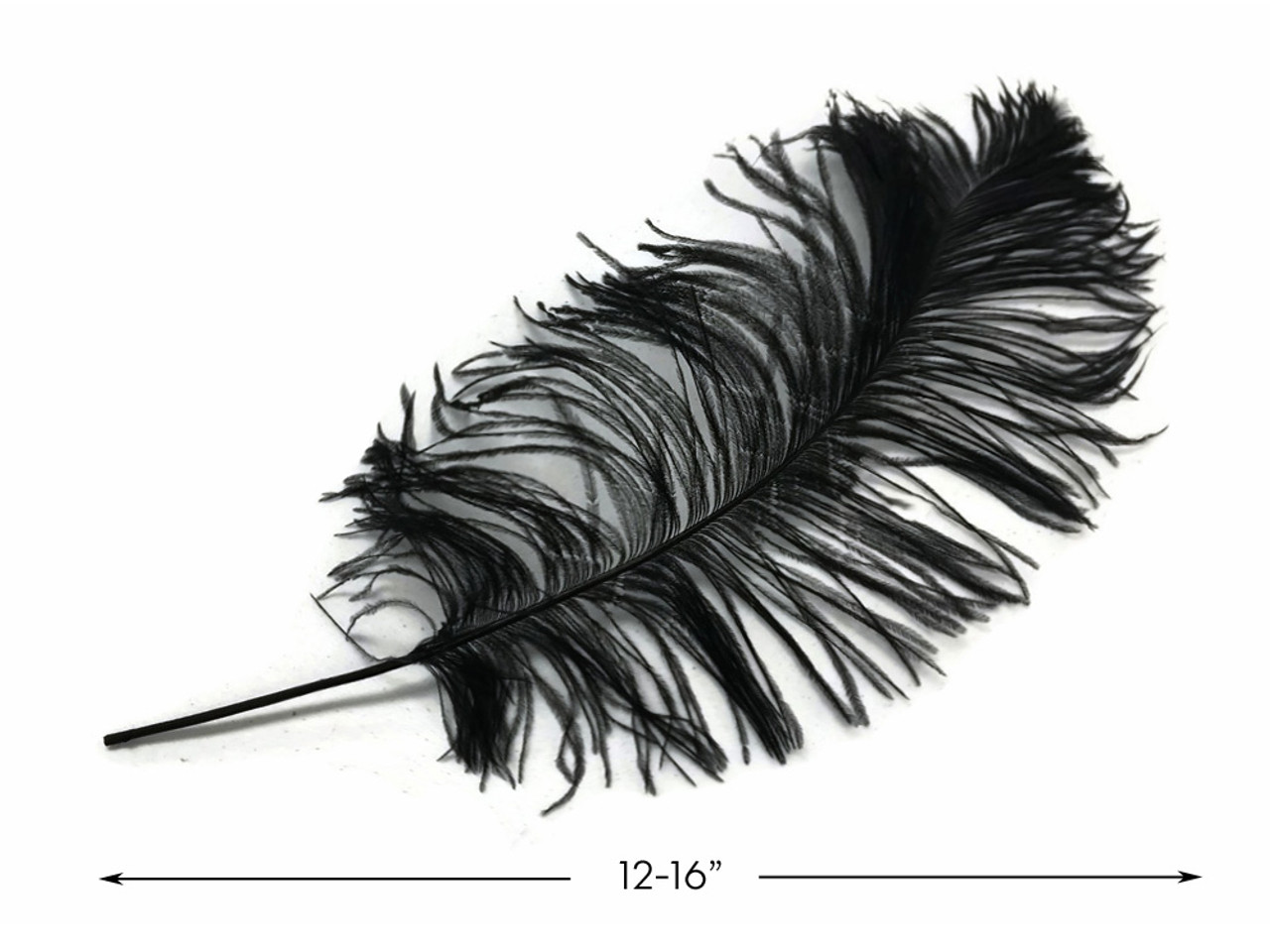 10 Pieces - 12-16 Black Dyed Ostrich Tail Fancy Feathers