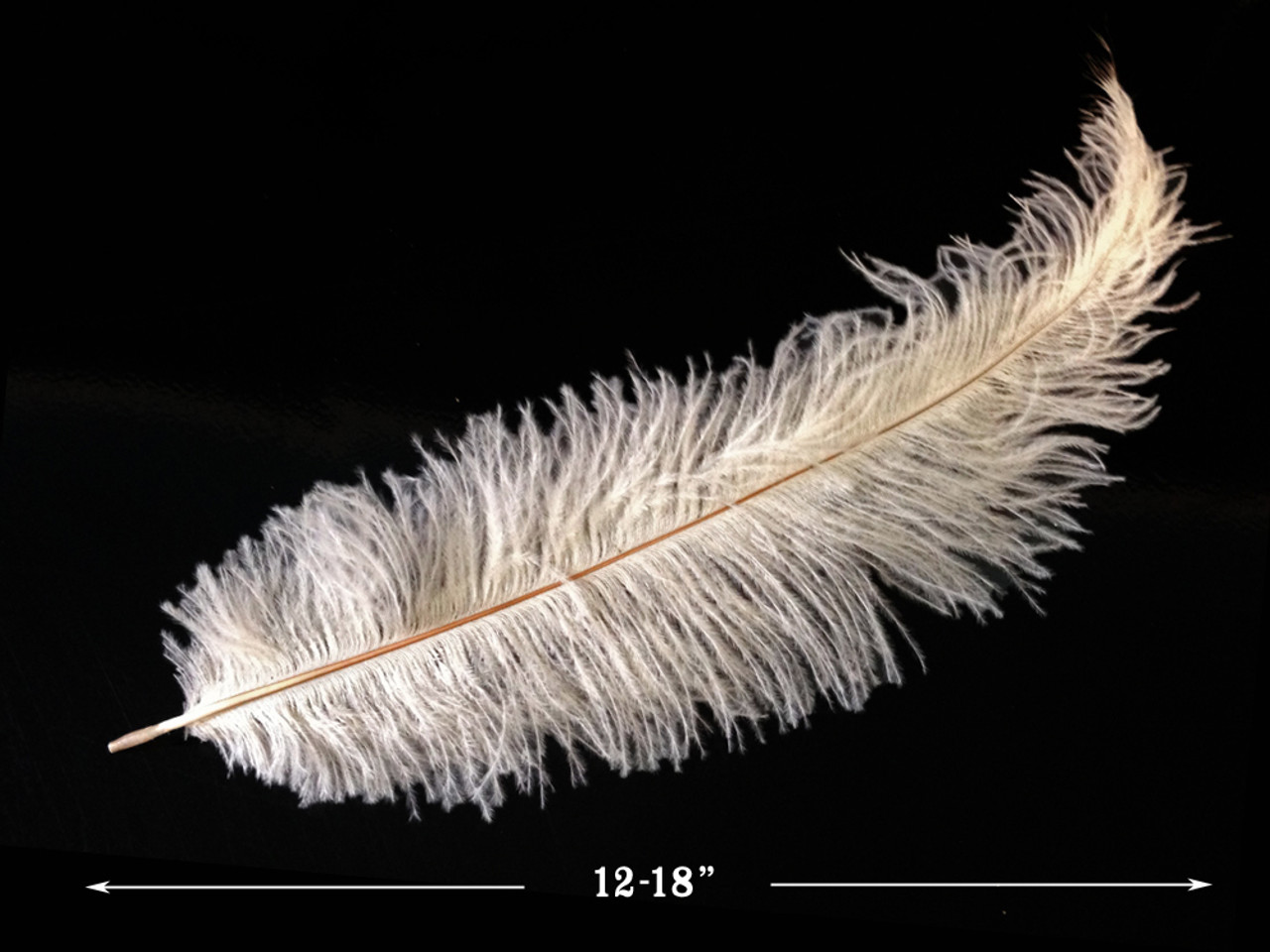 Ostrich Feathers-Spads Damaged - Beige