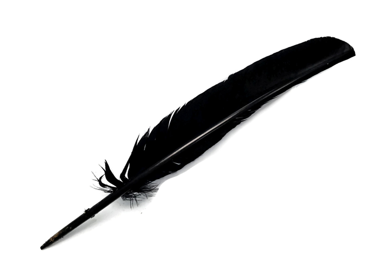 wholesale feather quill pen and ink
