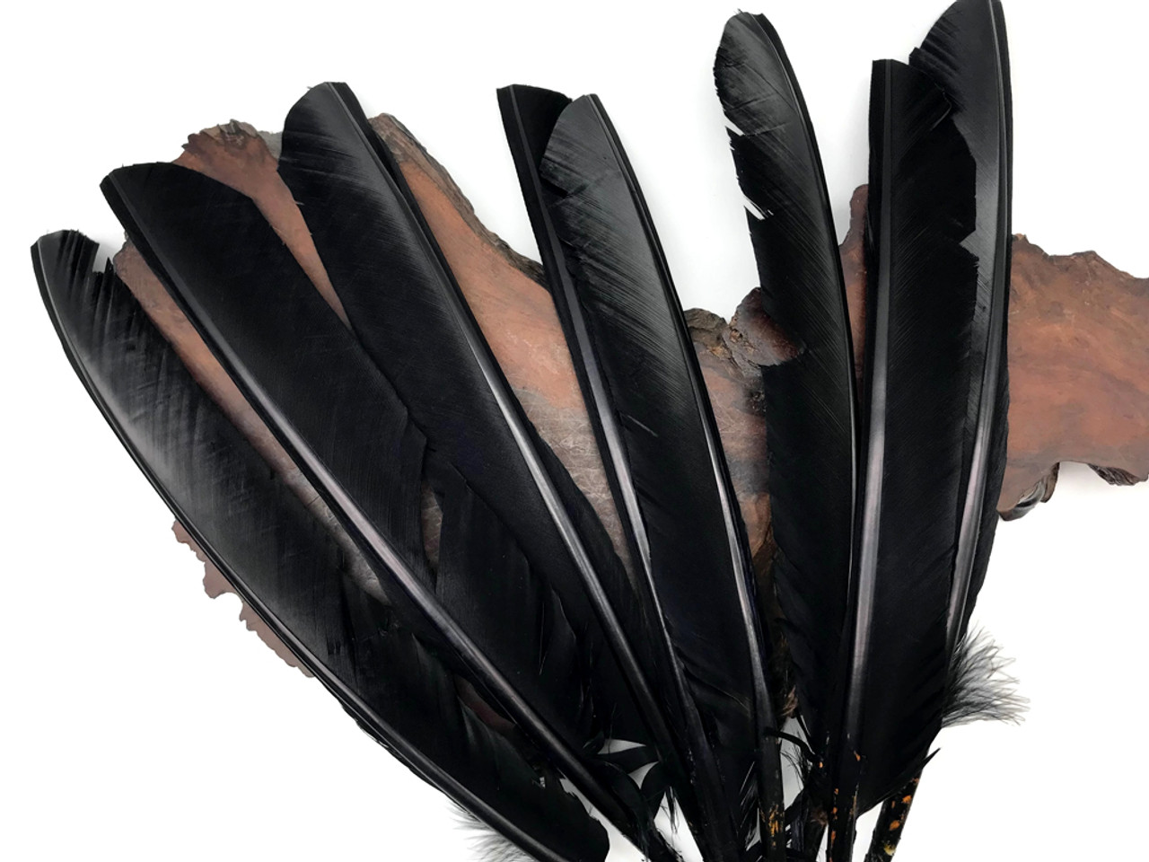 6 Pieces Black Turkey Pointers Primary Wing Quills
