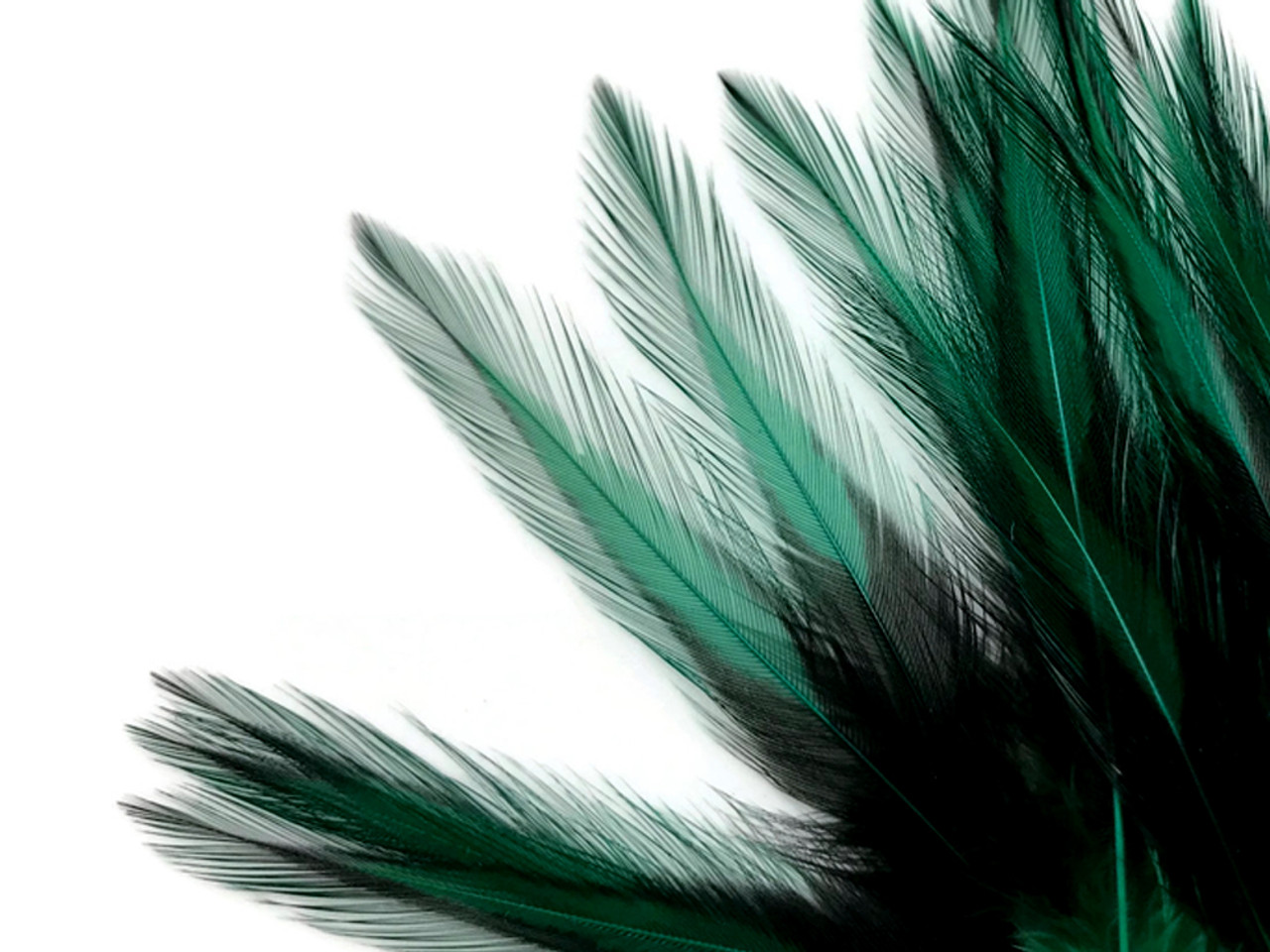 2-4 Inch Green Pheasant Feathers 10 Green Feathers. Green Peacock Feathers  for Fascinators. Green Mask Feathers for Crafts. Short Feathers -   Israel