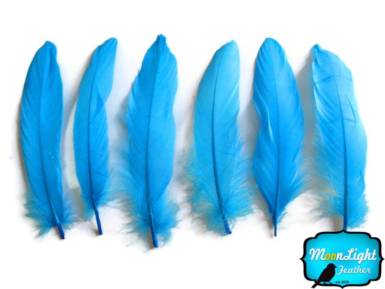 White Goose Feathers, 1 Pack WHITE Goose Satinettes Loose Feathers