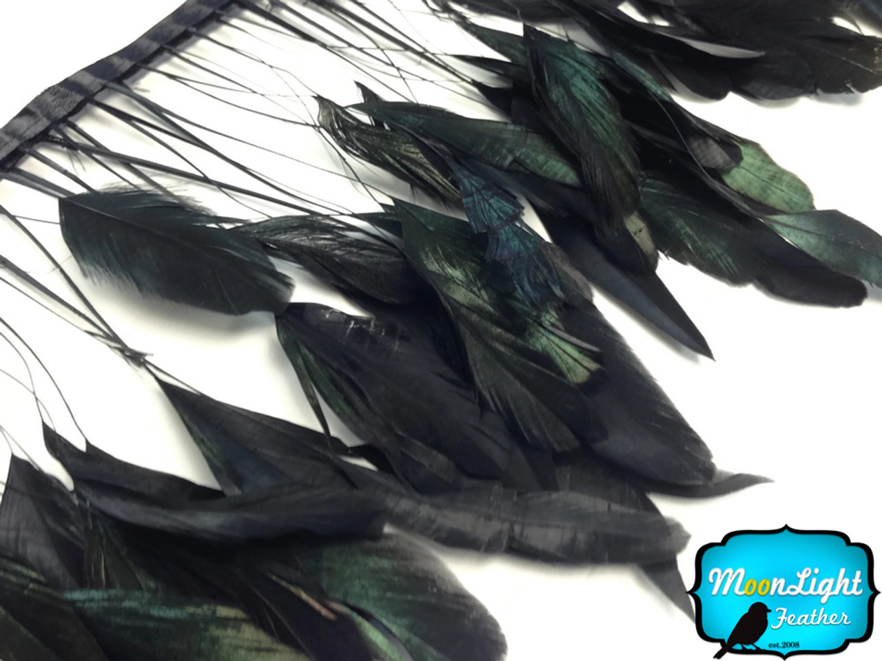 Black Feather, Craft Feathers, Natural Feathers, Real Feathers, Long Black  Feathers, Loose Feathers, Wholesale Feathers 