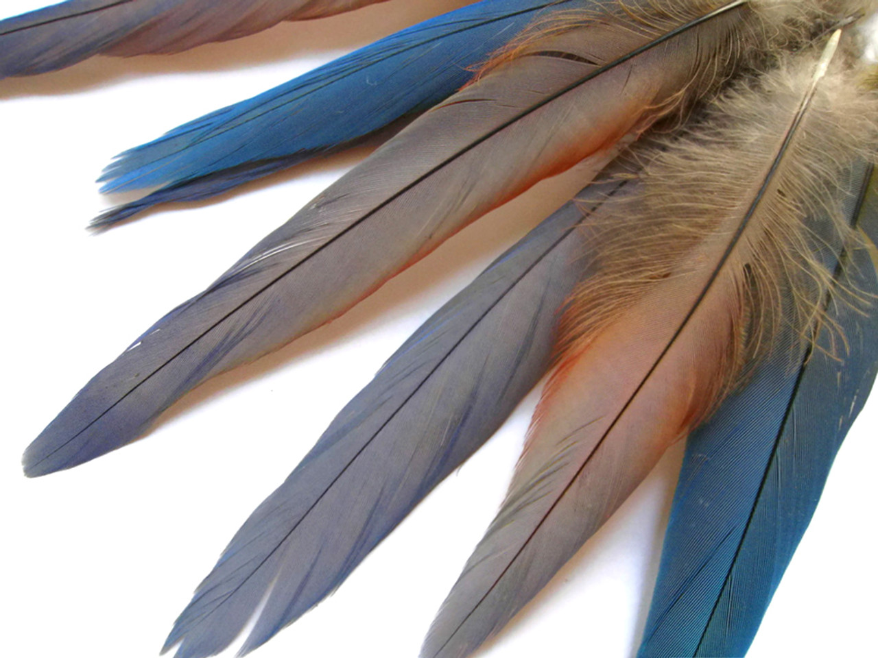 22x28cm blue feathers artificial bird spreading wings feathers
