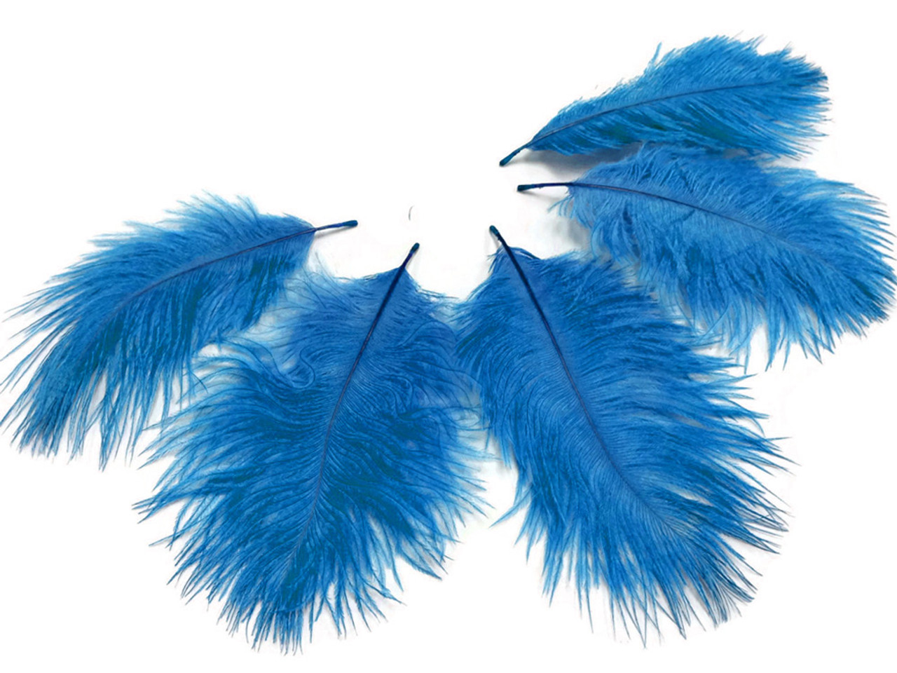 Wholesale Pack - Turquoise Blue Ostrich Small Confetti Feathers (Bulk) Mini  Doll Craft Supply | Moonlight Feather