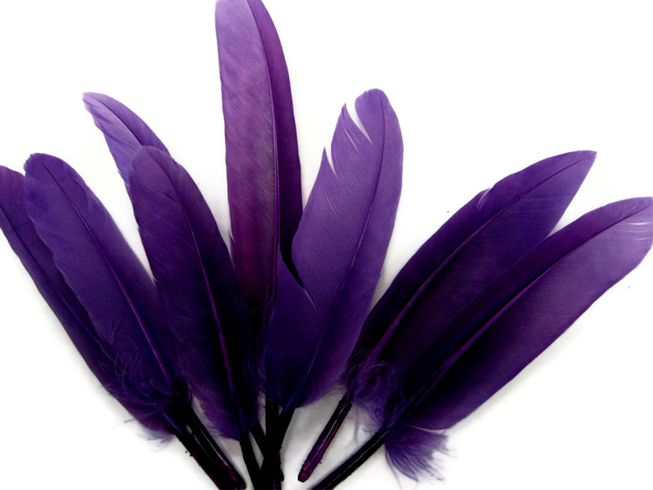 1/4 lb Purple Duck Cochettes | Moonlight Feather