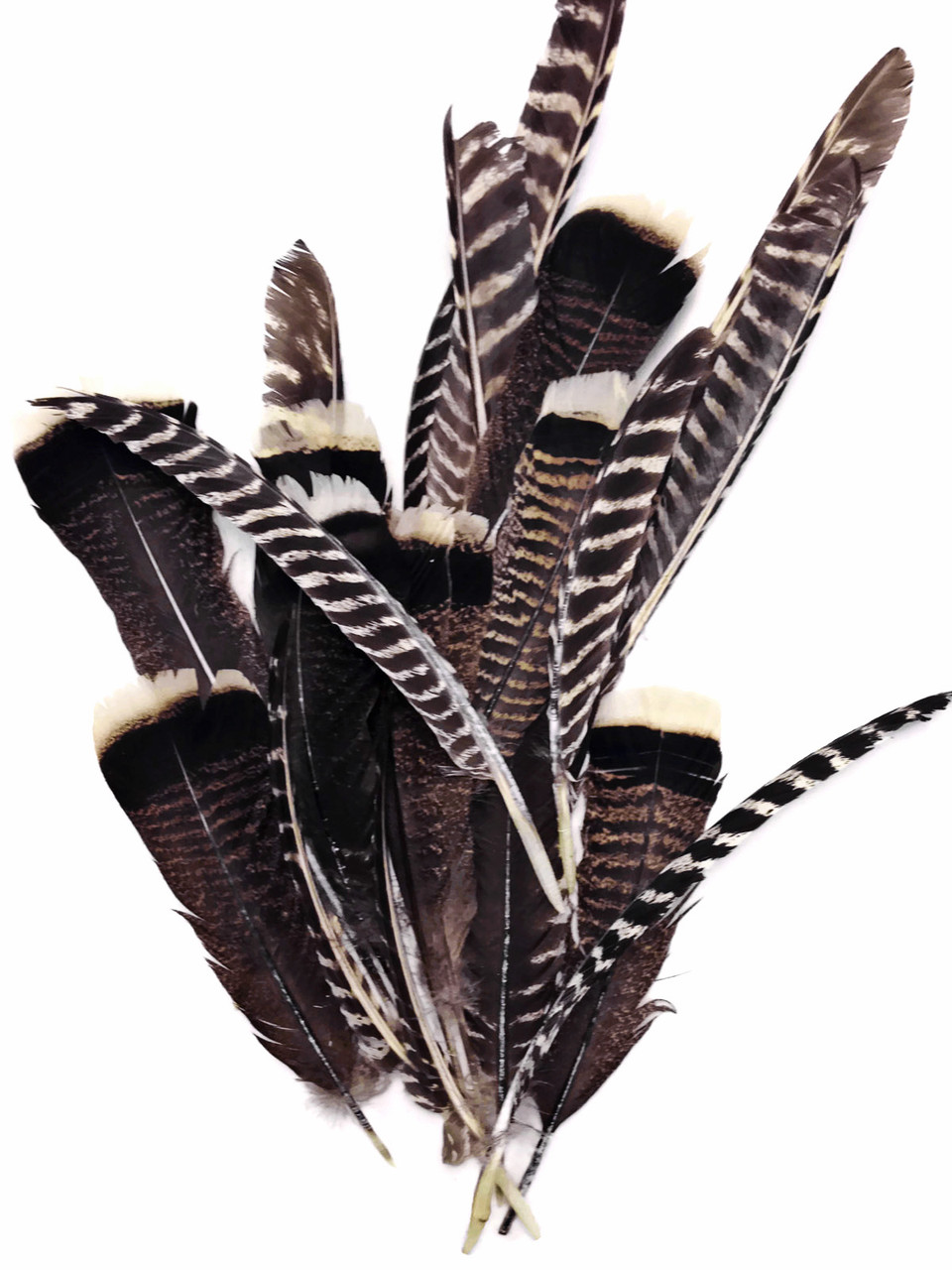 20pcs Natural Turkey Feathers Bulk 10-12 inch Wild Turkey Feather
