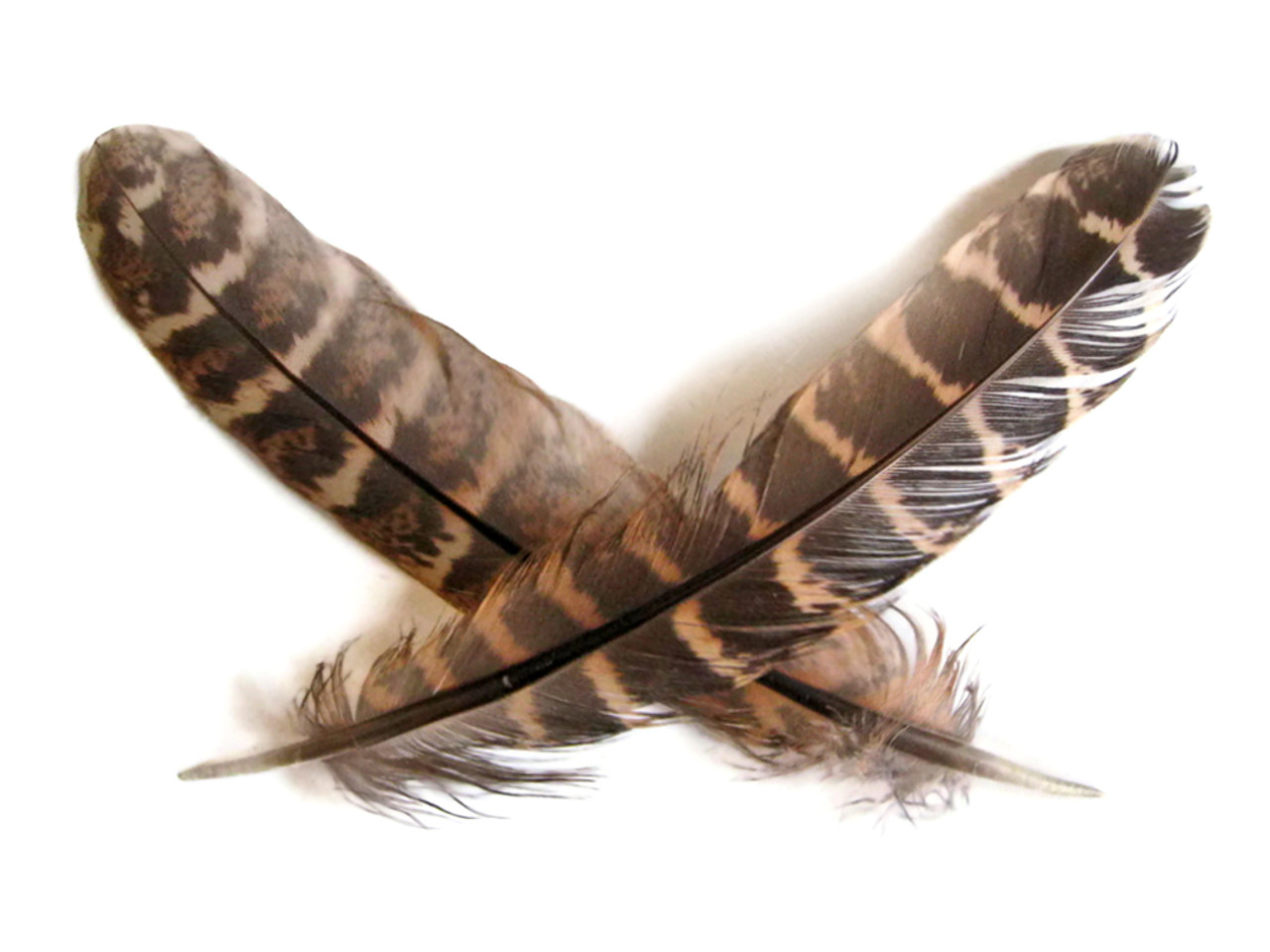 1/4 lb 4-6 Natural Ringneck Pheasant Feathers