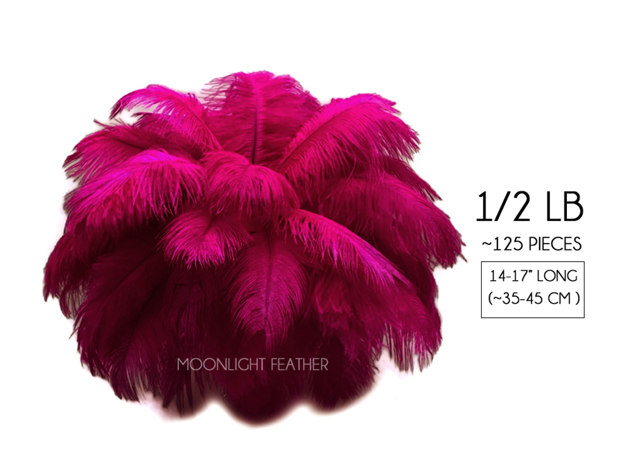1/2 lb 14-17 Magenta Ostrich Feathers