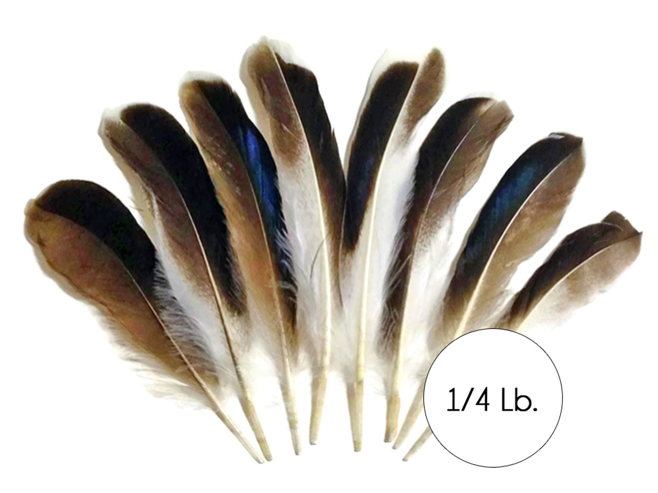 Creativity Street Plumage Feathers