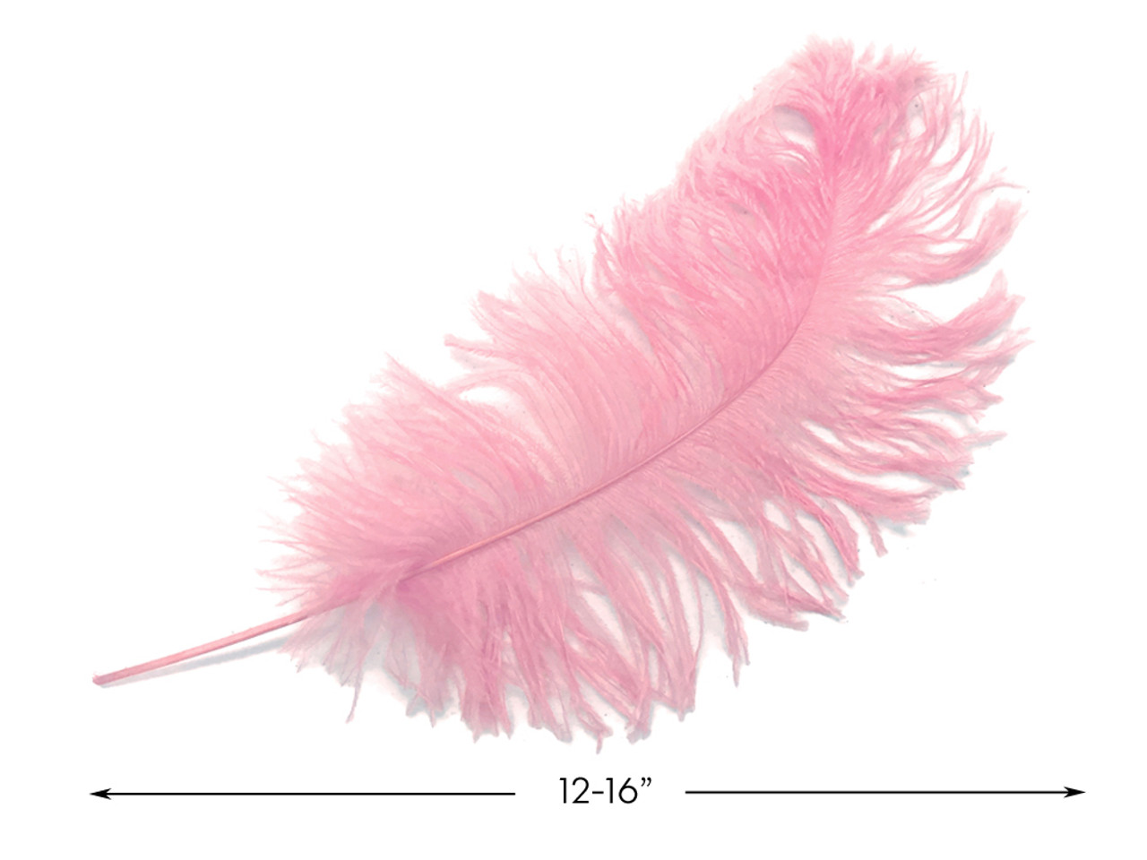 Light Pink Ostrich Feathers