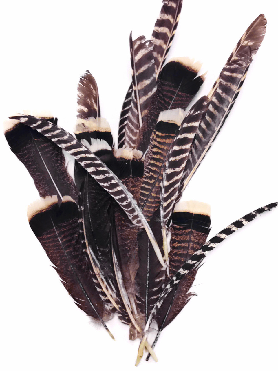 1/4 Lb - Brown Turkey Tom Rounds Secondary Wing Quill Right Facing  Wholesale Feathers (Bulk) Halloween Wedding Craft Supply | Moonlight Feather