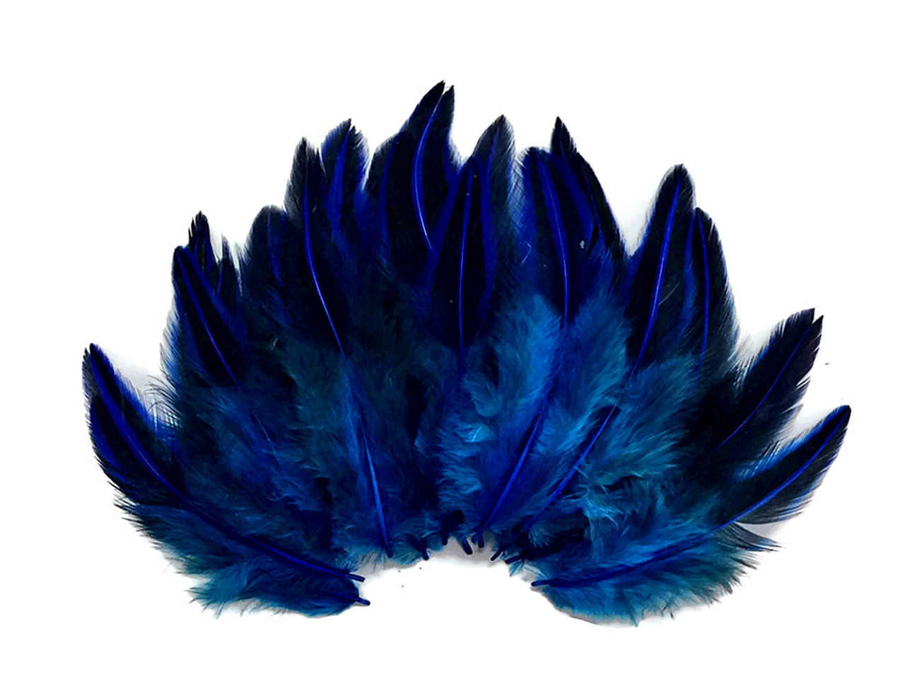 50 Pieces - ROYAL BLUE Jungle Cock Loose Plumage Feather | Moonlight ...